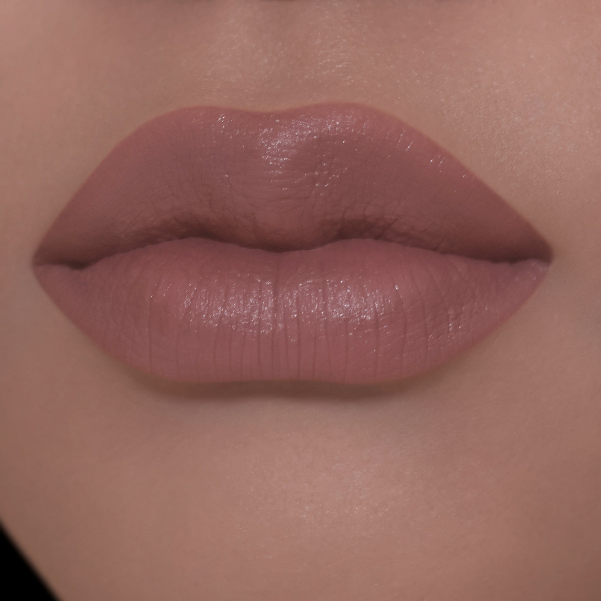Velvet Veil Lip Mud- Rosewood Remedy