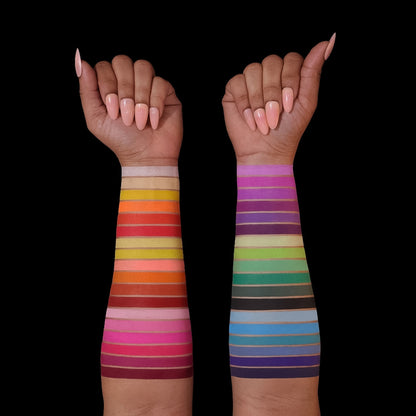 Arch of Color Magnetic Palette (COMING SOON)